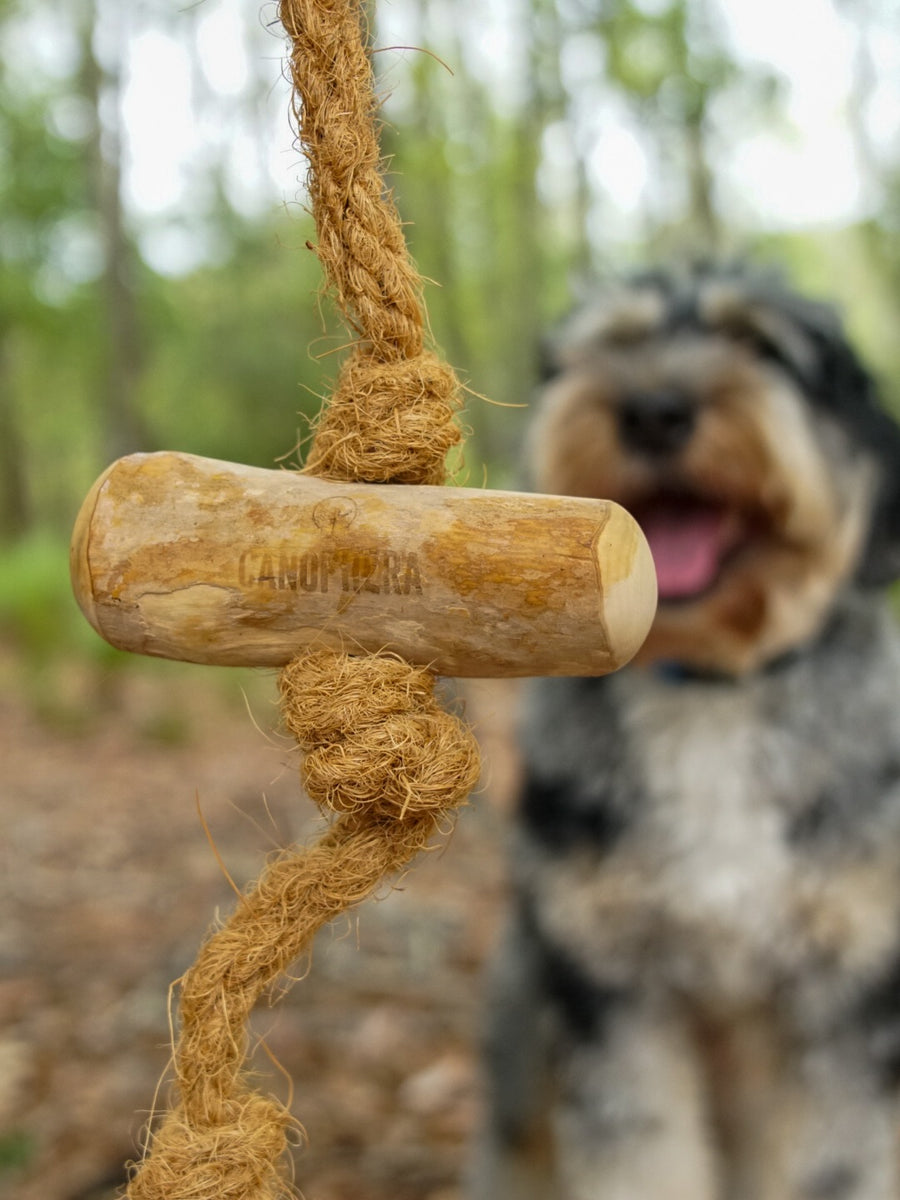 Rope that flosses as they gnaw