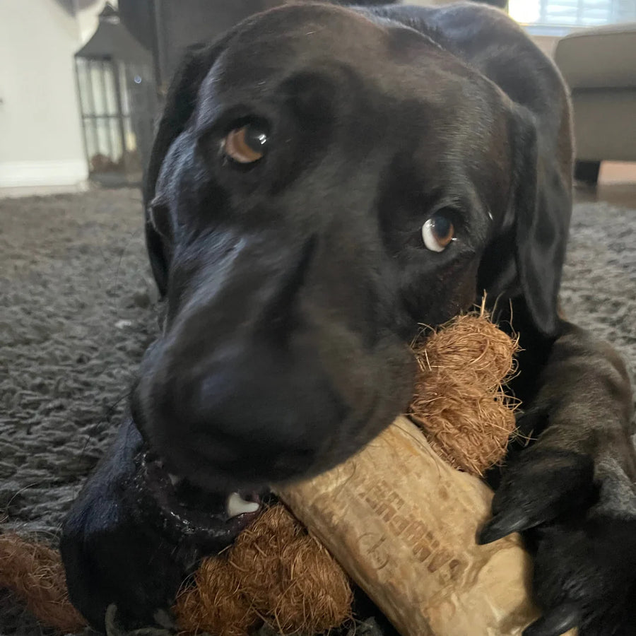 A satisfying core to chew