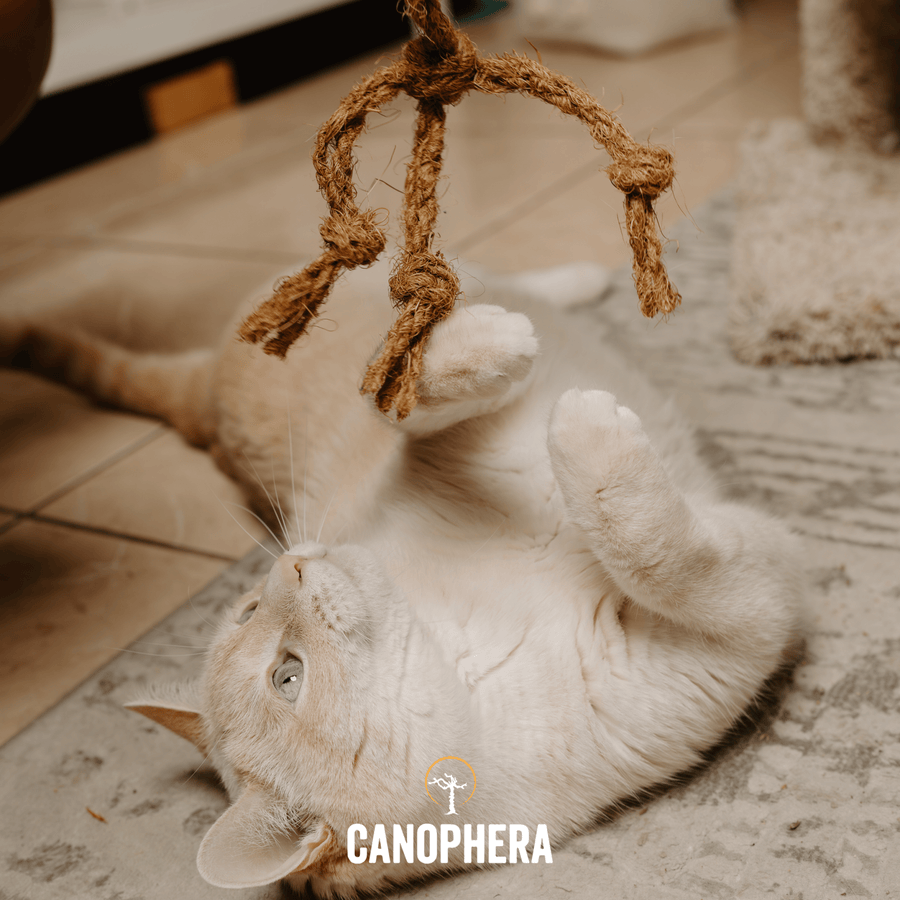 Natural Cat Toys