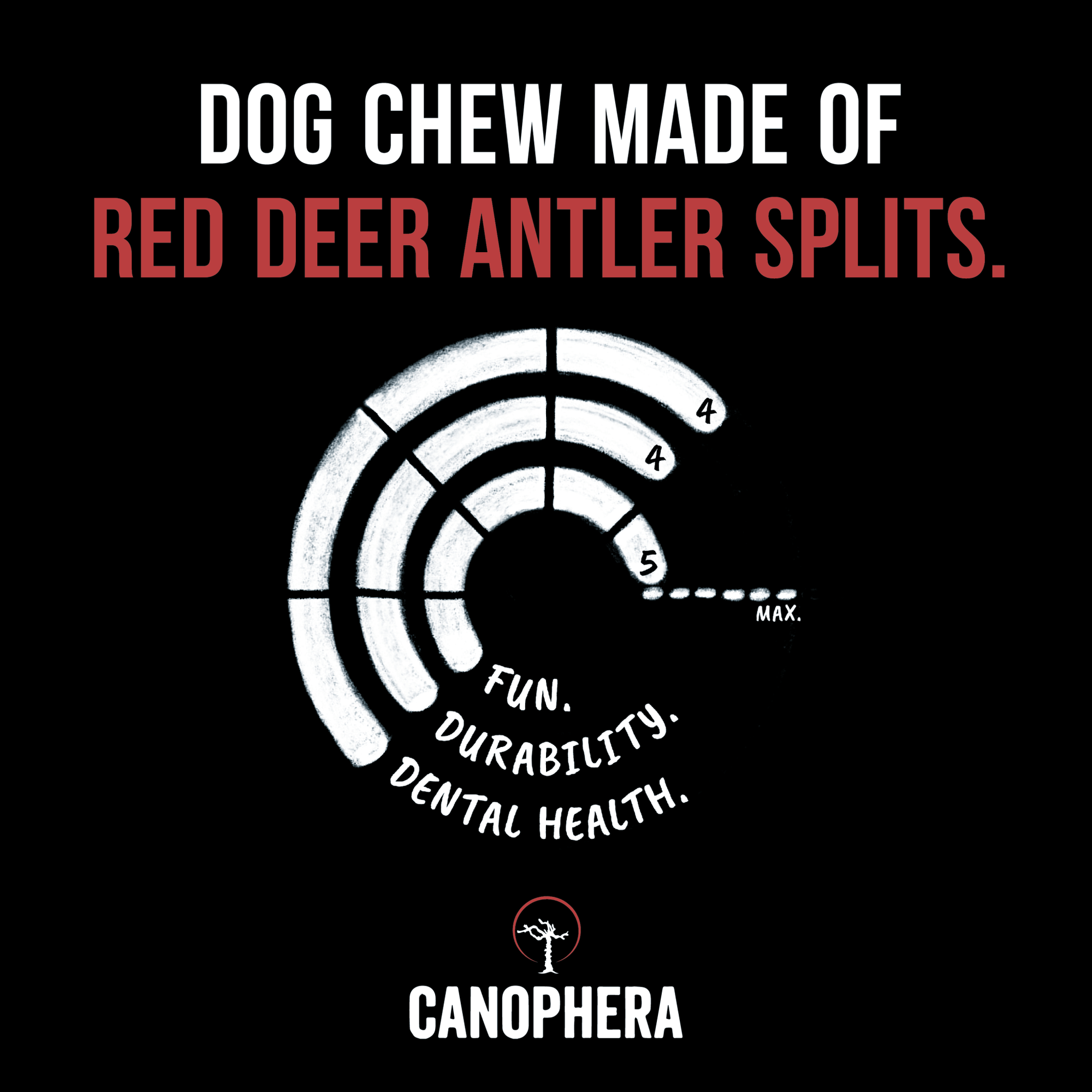 Red Deer Antlers (Splits) - Canophera