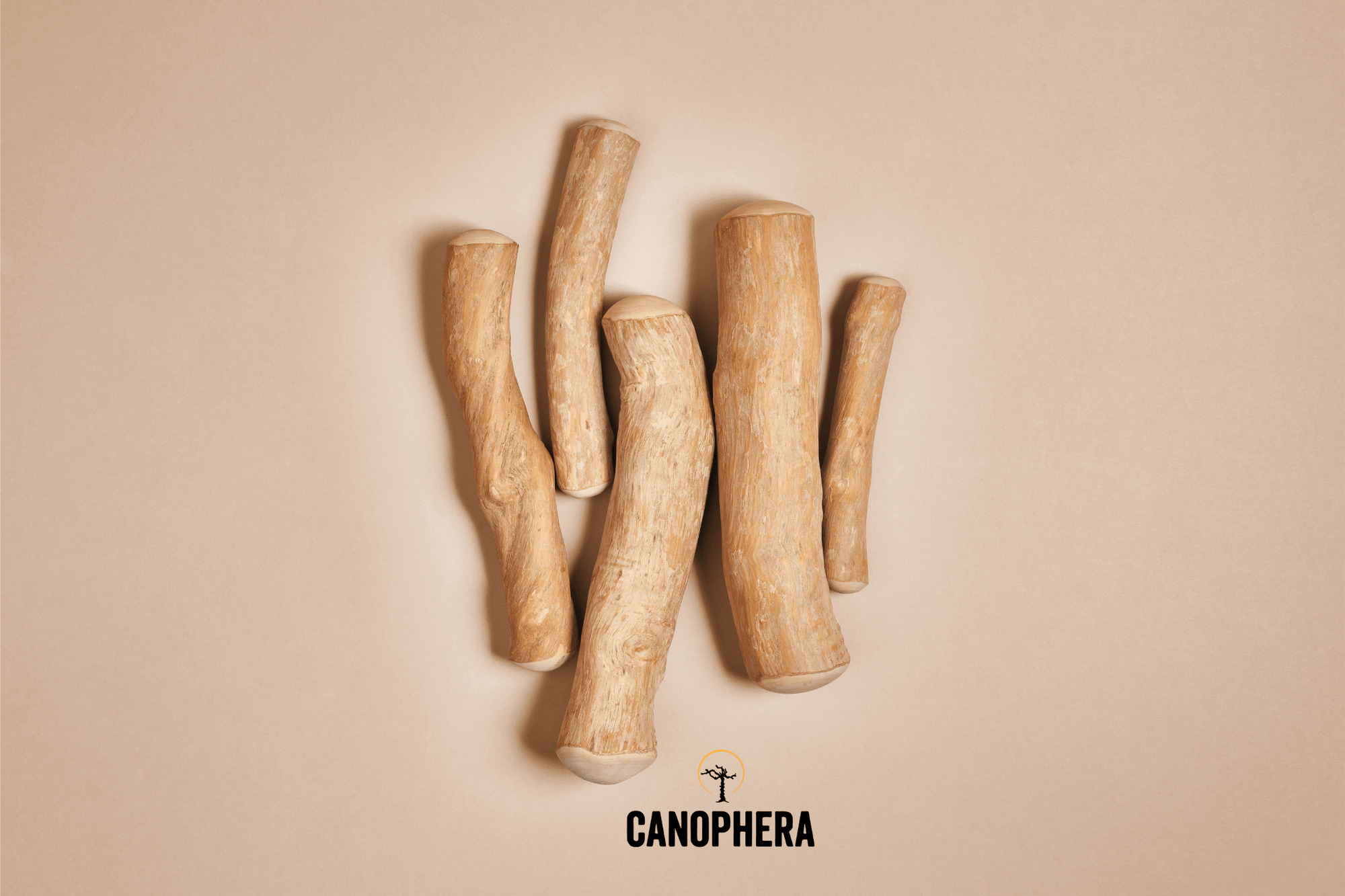 All About Our Coffee Wood Stick Chews - Canophera