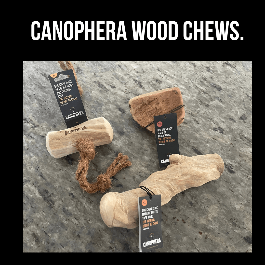 Longevity, Durability, and Expectations of Canophera Wood Chews. - Canophera