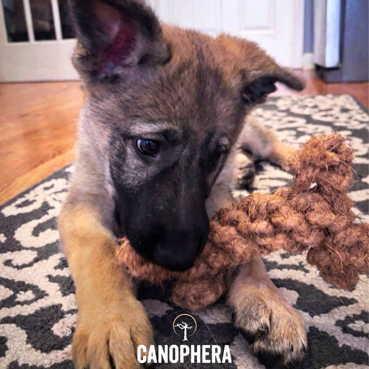 Braided CocoBones - Coconut Rope Dog Toys