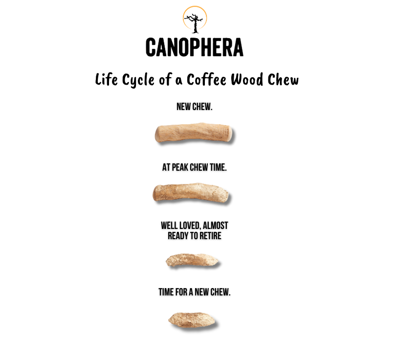 Coffee Wood Chew Sticks