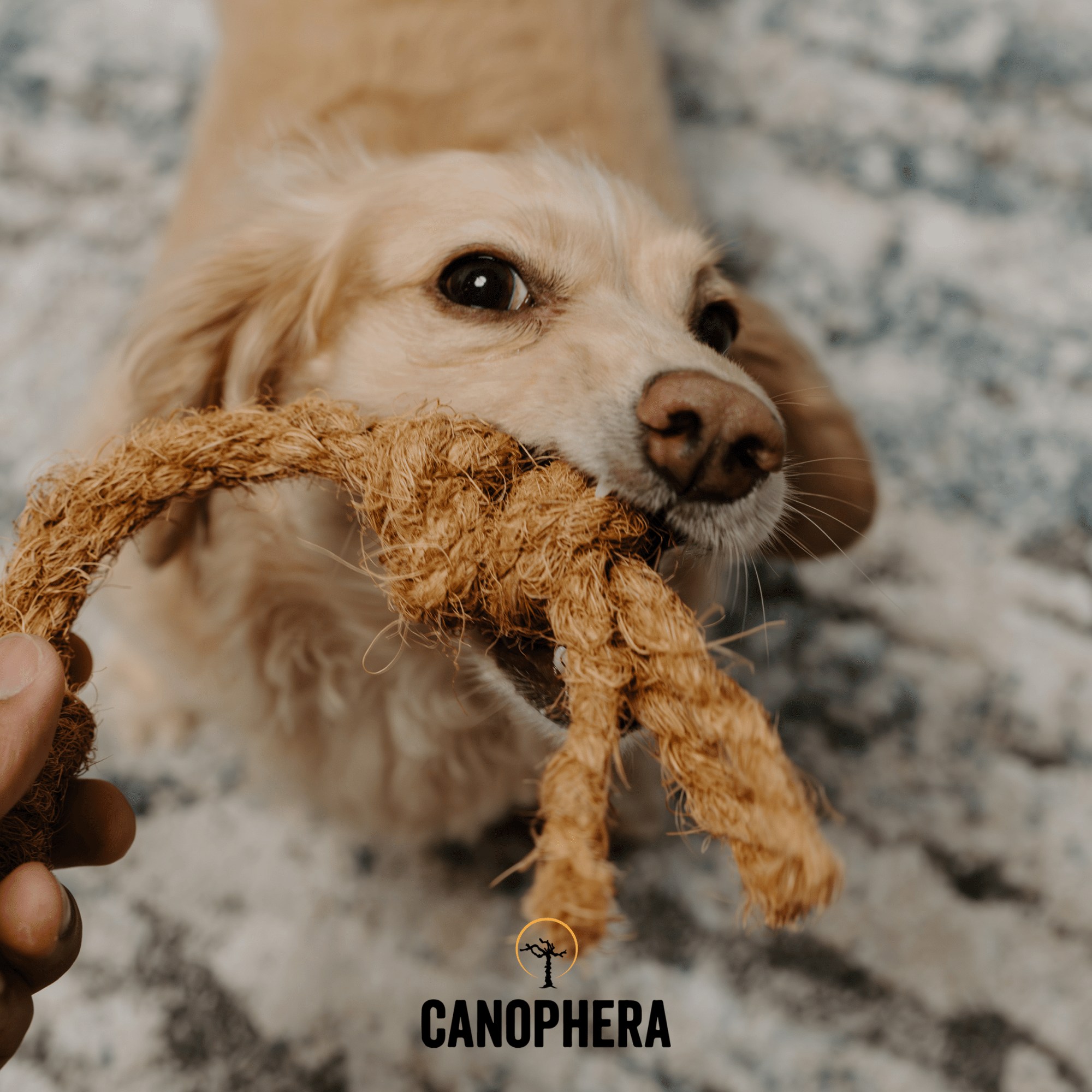 Coconut Rope Toys - Canophera