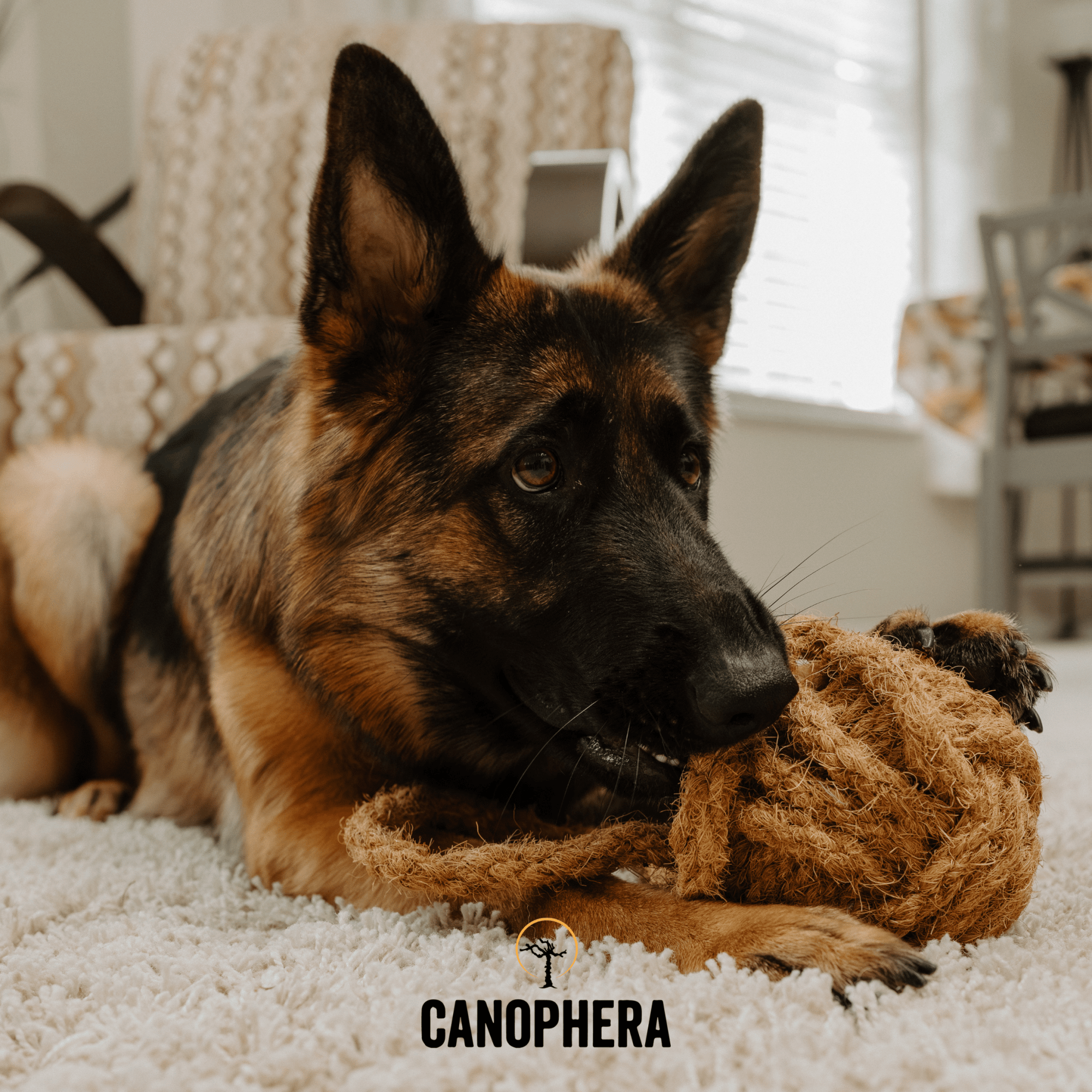 Coconut Rope Toys - Canophera