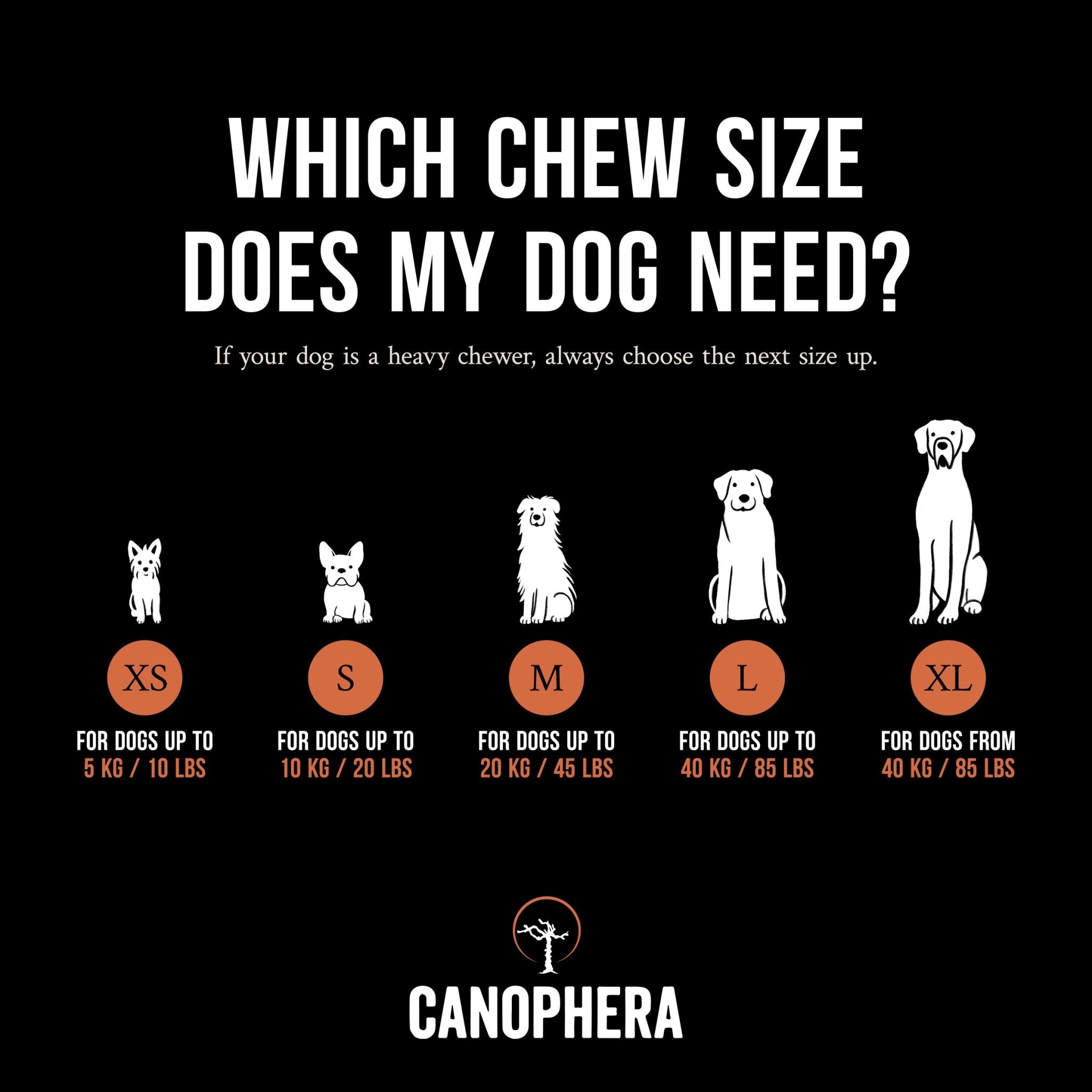 Dogs Root Table Briar Root Chews for Dogs | Sustainable & All-Natural from CANOPHERA ...