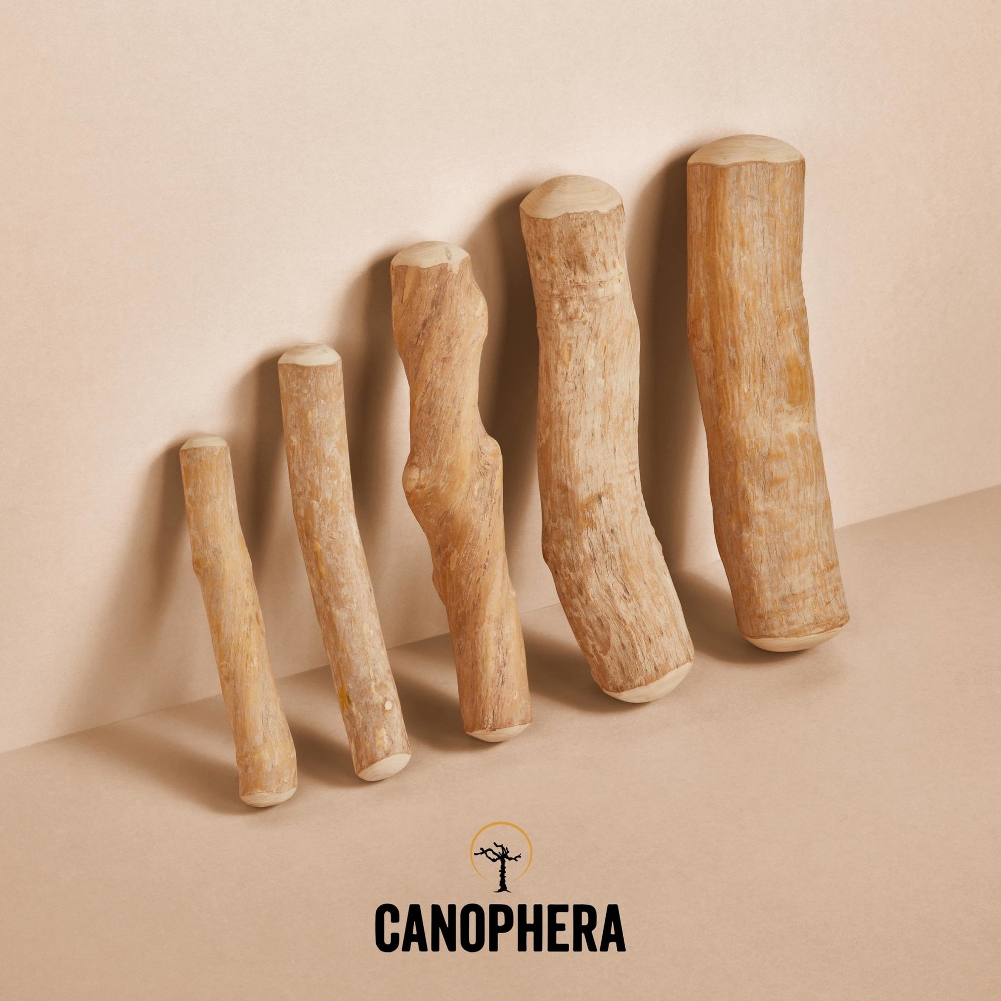 Coffee Wood Chew Sticks (Pack of 2) - Canophera