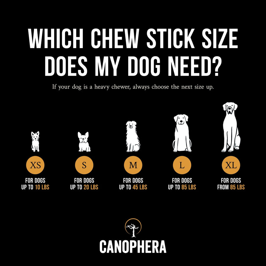 The Coffee Wood Chew Sticks