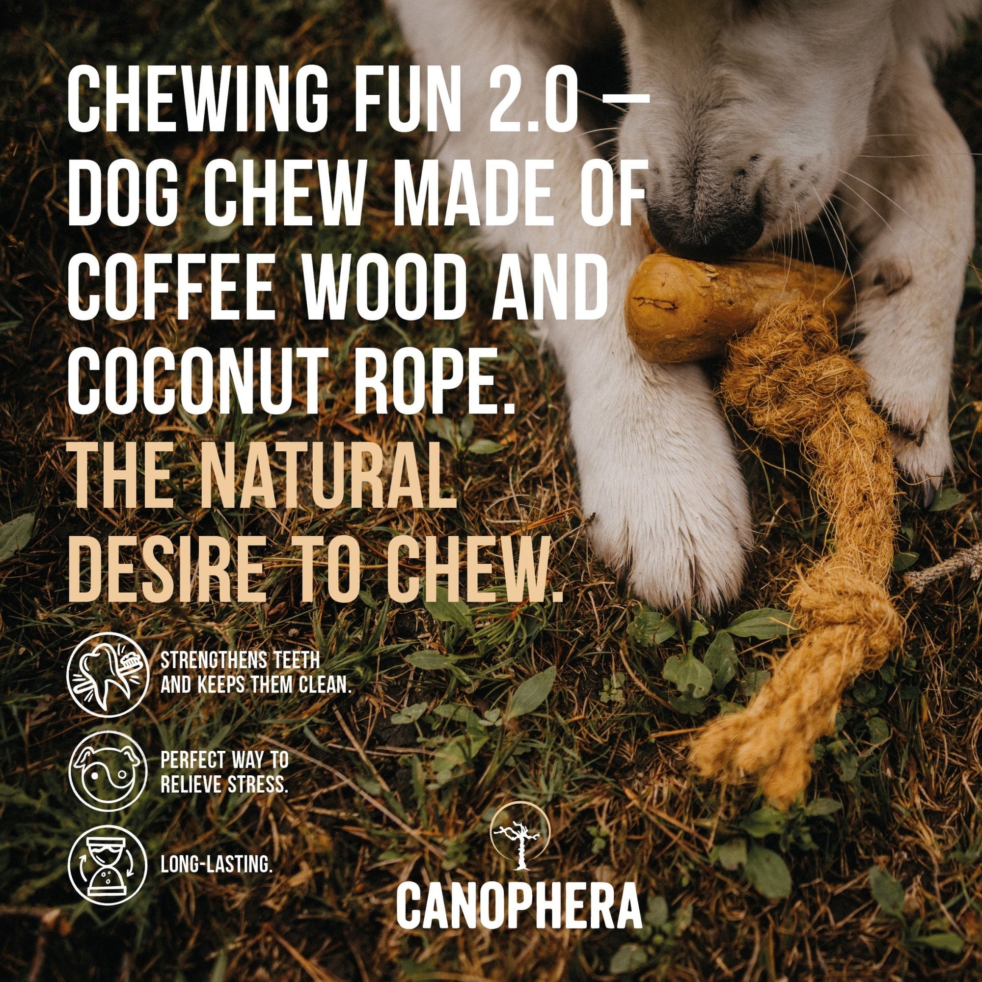 Coffee+Coco Chews (Pack of 2) - Canophera